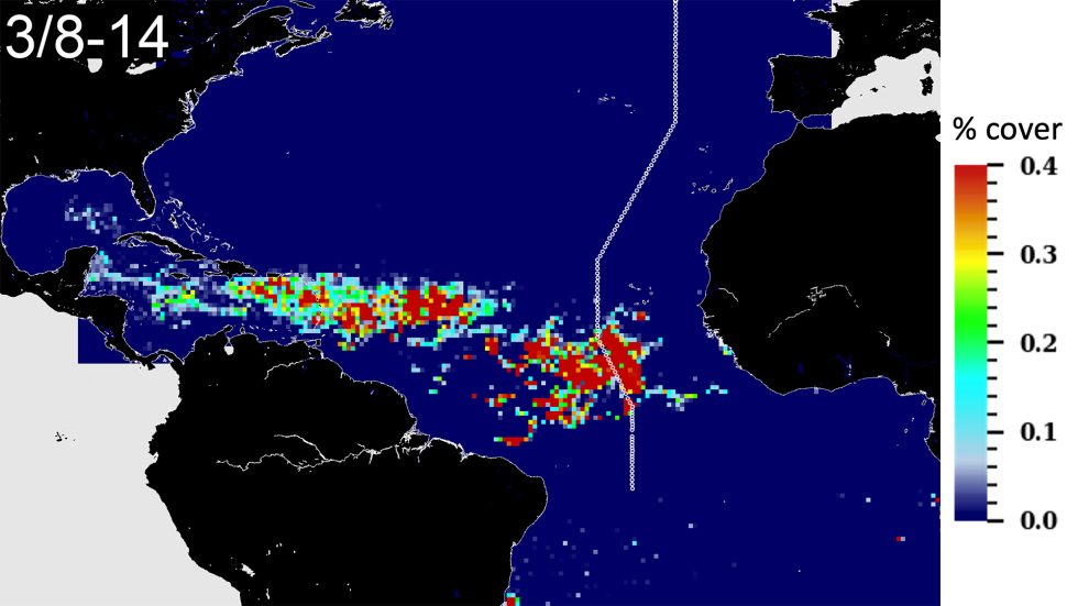 Sargassum 2025 Map - Emmi Jerrie