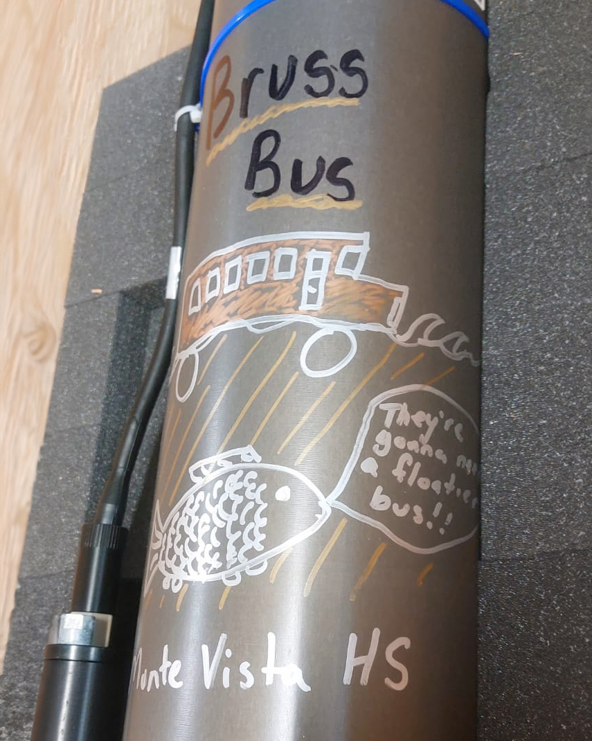 Close-up of artwork on Bruss Bus.