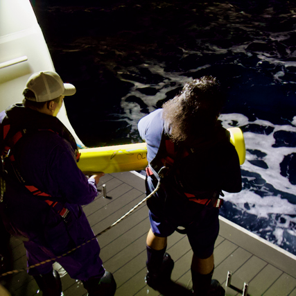 A very smooth deployment from the marina deck on the National Geographic Resolution. Photo by Isa Rosso